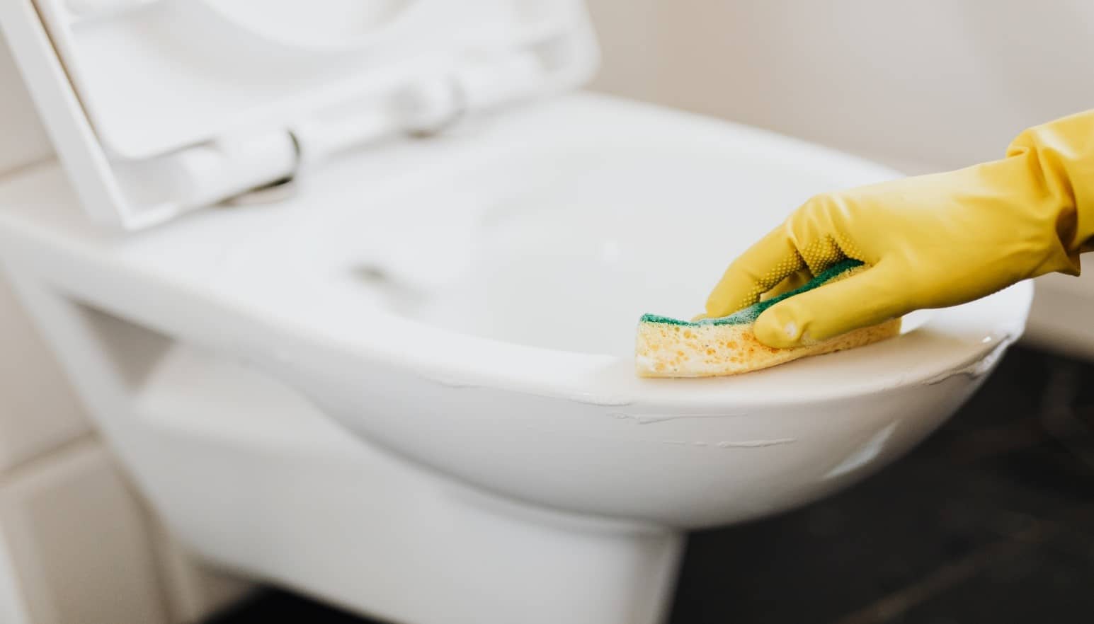Person Cleaning Toilet Bowl With Sponge and Soap.