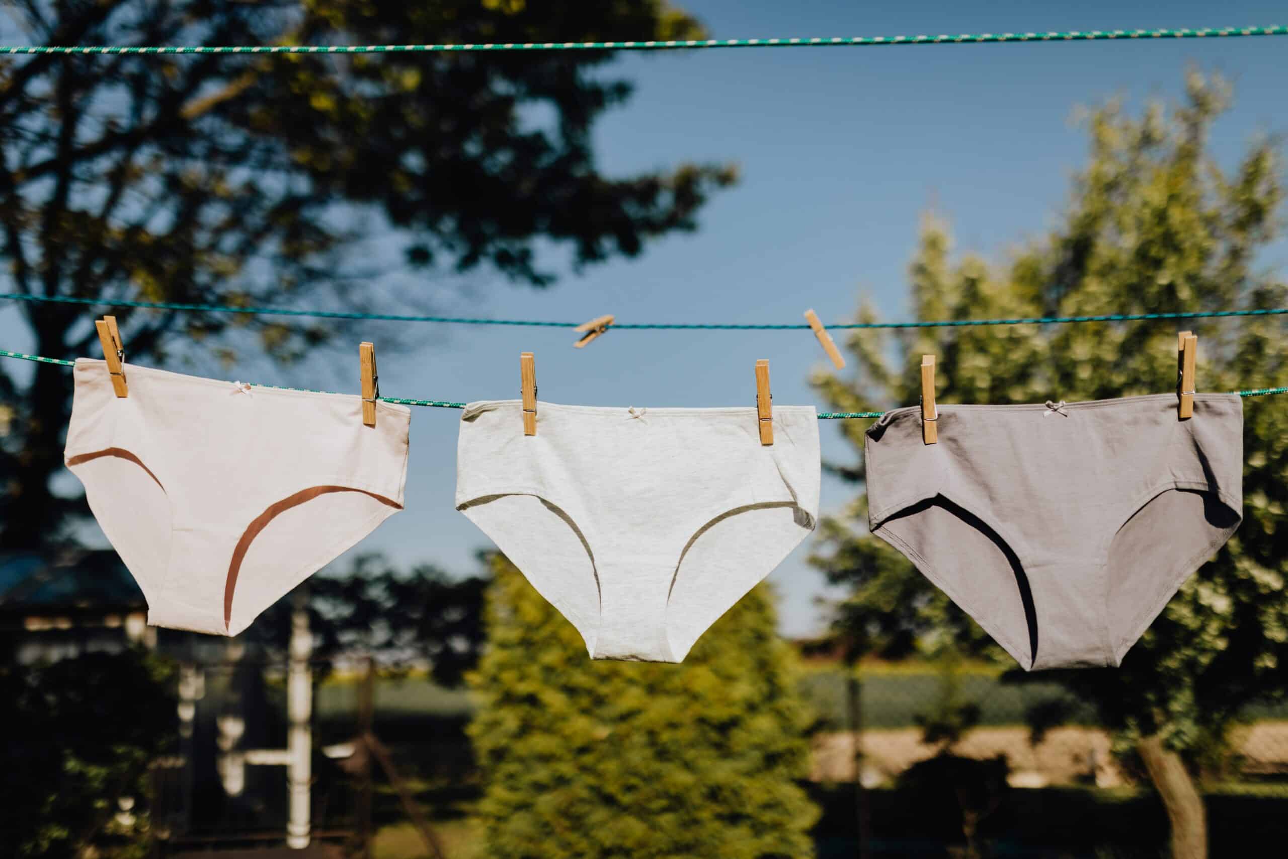 Clean underwear hanging on clothesline.