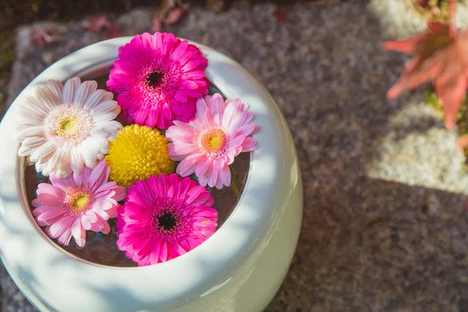 Vibrant flowers floating in a ceramic bowl.