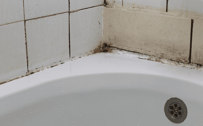 What Is the Best Way to Clean Shower Grout Mold?