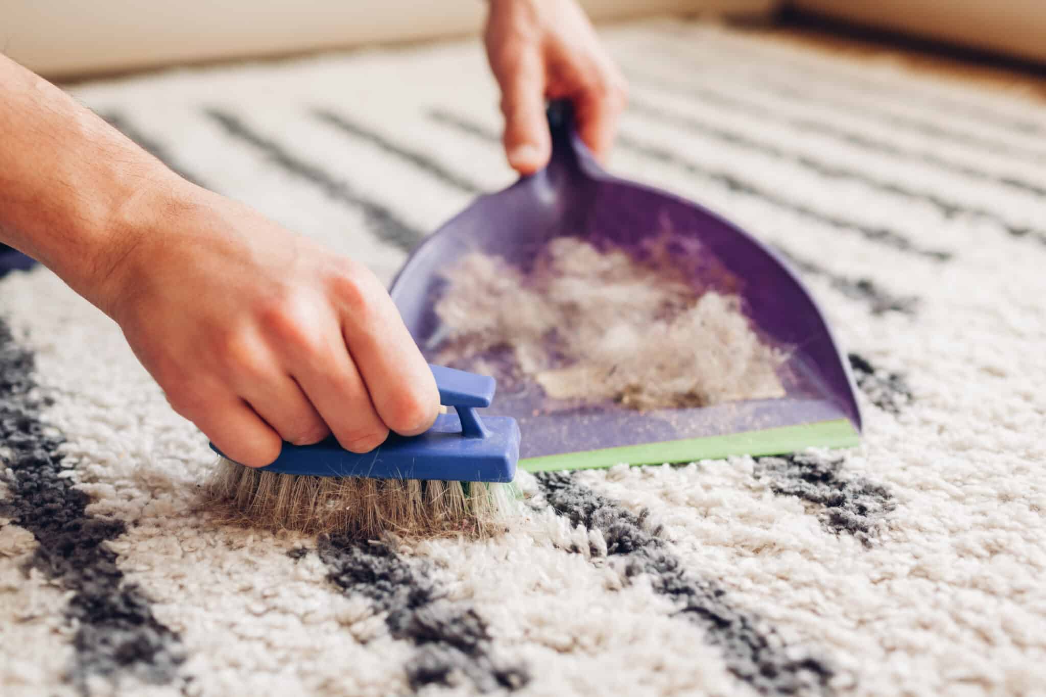 How To Clean Carpet Without Vacuum Key Tip And Tools Anita's