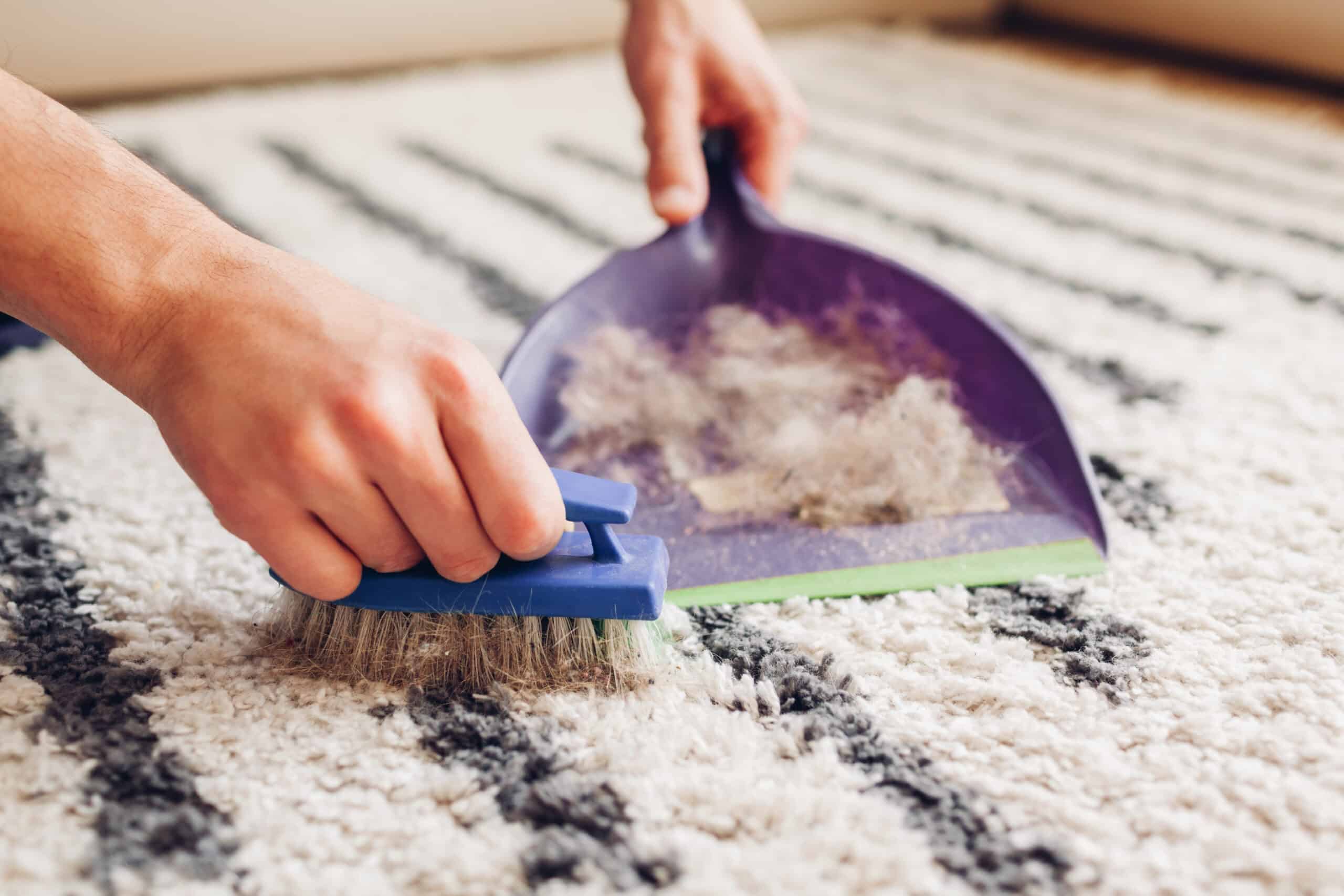 How to clean carpet without vacuum.