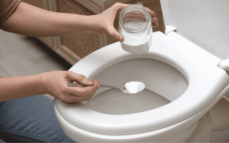 How to Clean a Toilet Brush With Easy Methods