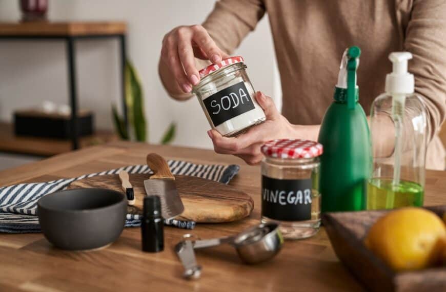 What Is The Best Oil To Season A Cast Iron Skillet 8 Options Anita's