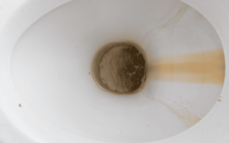 Rust in toilet bowl