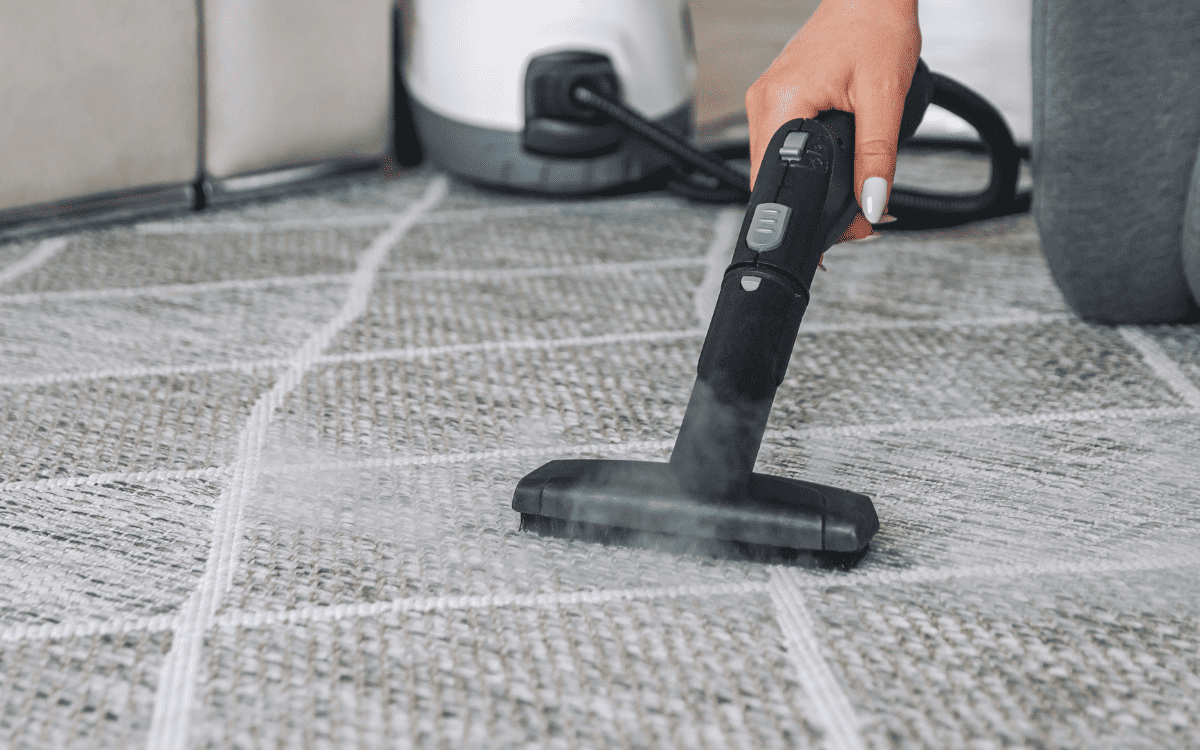 How To Clean Mold From Carpet Save Time And Money