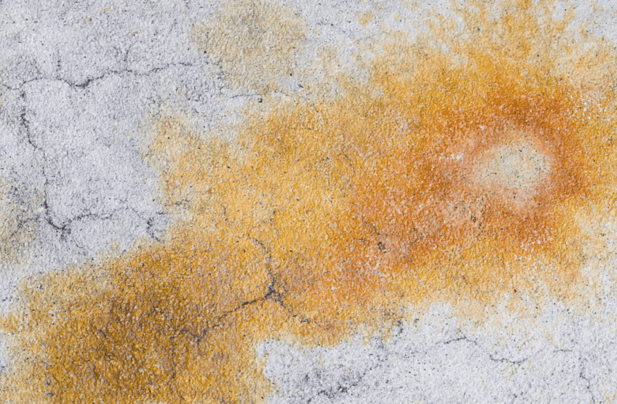How To Remove Old Urine Stains From Carpet Effectively how-to-remove-old-urine-stains-from-carpet-effectively